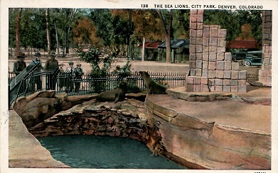 Denver, City Park, Sea Lions