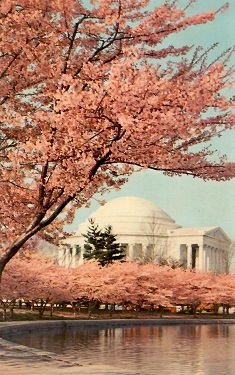 Jefferson Memorial