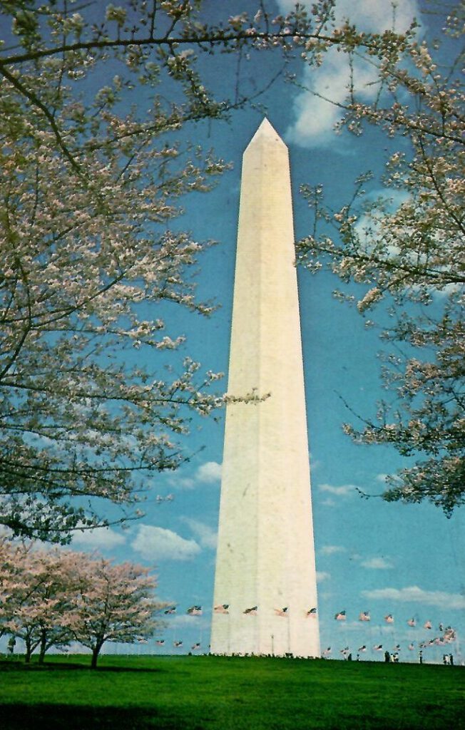 Washington Monument, Cherry Blossom Time (District of Columbia)