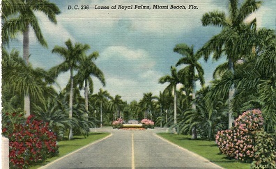 Miami Beach, Lanes of Royal Palms