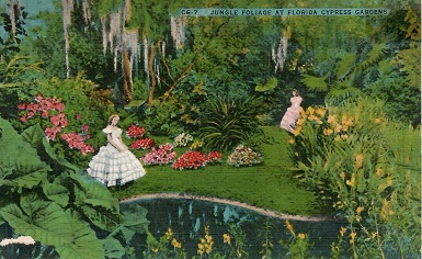 Winter Haven, Cypress Gardens, rare plants
