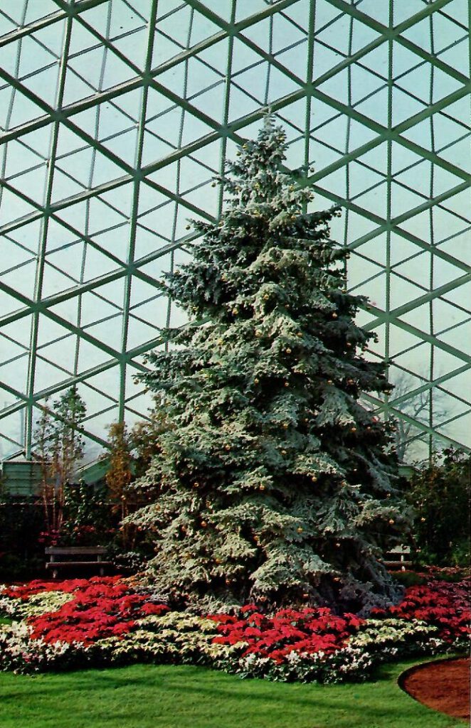 Milwaukee, Mitchell Park, Flocked Christmas Tree (Wisconsin, USA)