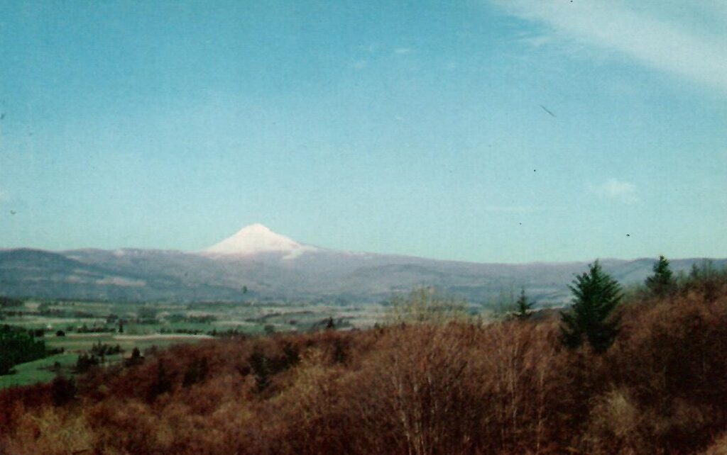 Hood River Valley and Mt. Adams (Oregon, USA)