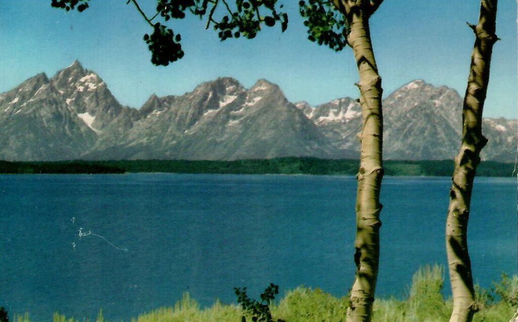 Grand Teton National Park, Teton Range, Jackson Lake (Wyoming, USA)