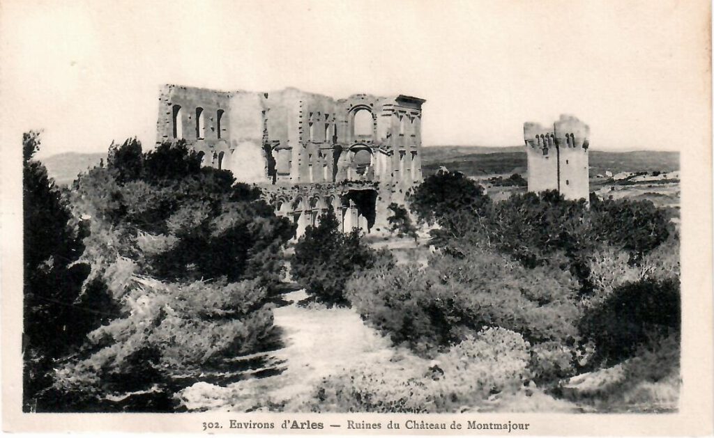Environs d’Arles, Ruines du Chateau de Montmajour (France)