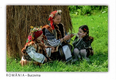 Bucovina, Country scene