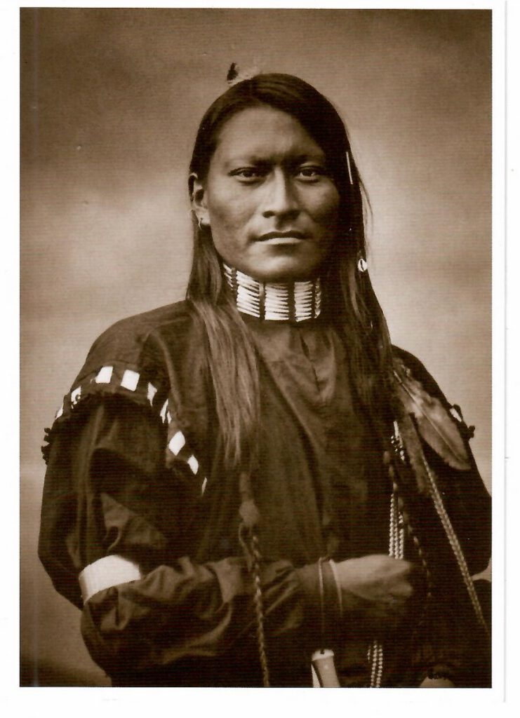 Red Armed Panther, Cheyenne Scout