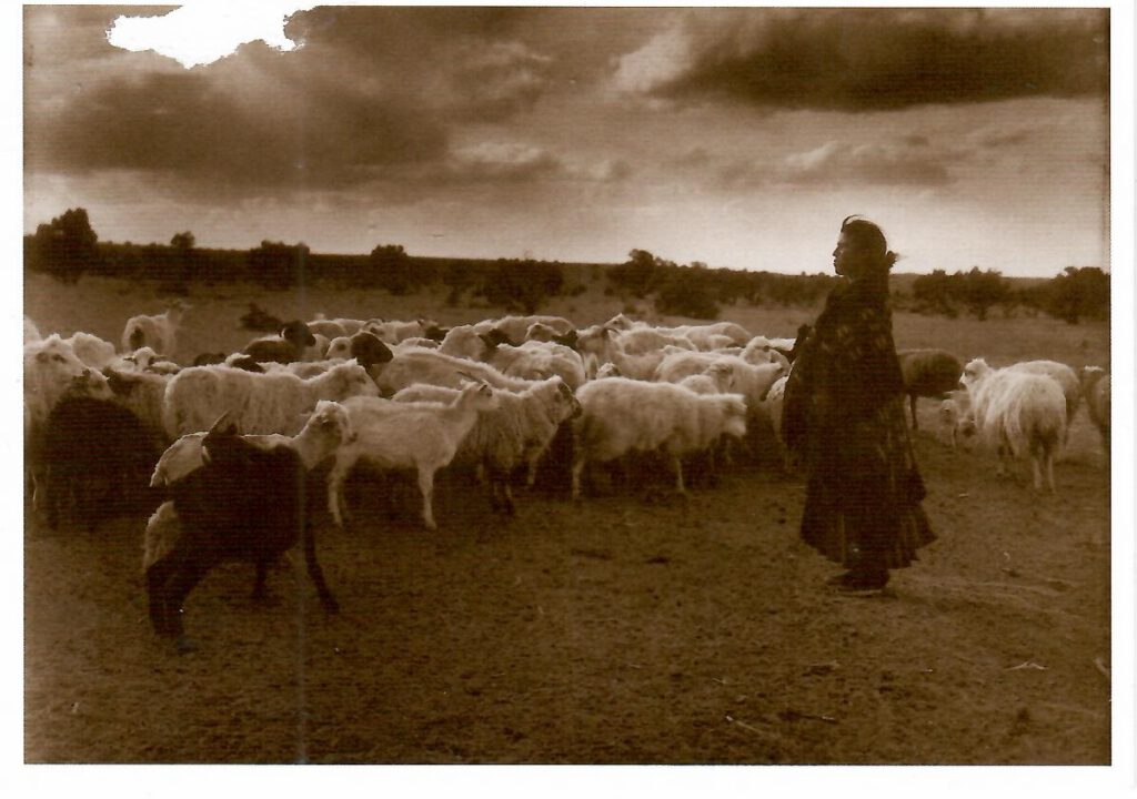 Indian Maiden and Her Flock