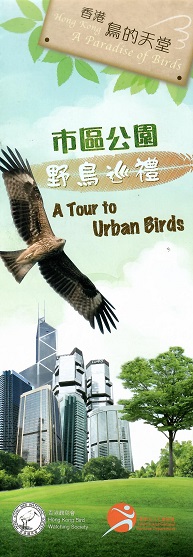 A Tour to Urban Birds – Hong Kong