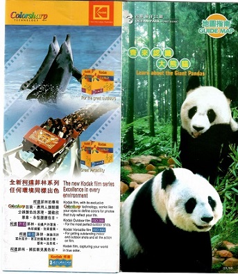 Ocean Park Hong Kong – Learn about the Giant Pandas