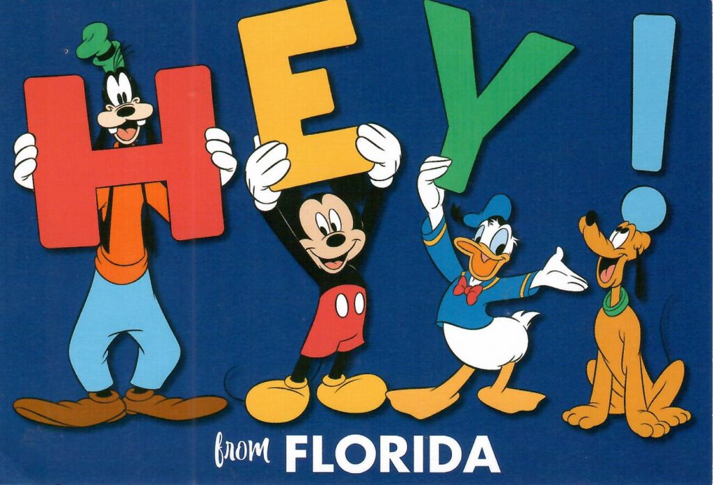 Hey! from Florida Disney