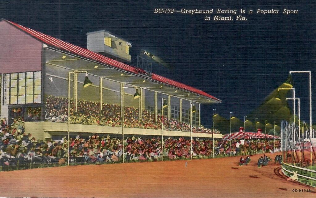 Miami, Greyhound Racing (Florida, USA)