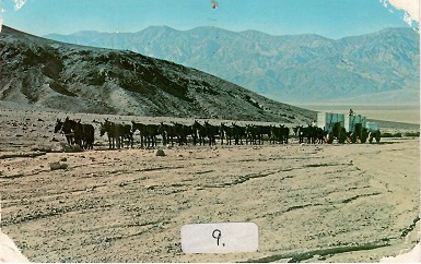 Death Valley, Twenty Mile Mule Team