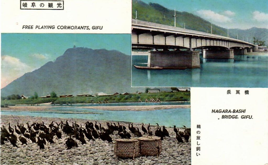 Gifu, Cormorants and Nagara-Bashi Bridge (Japan)