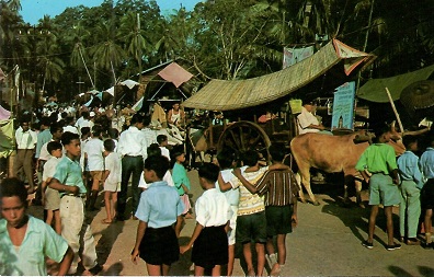 Malacca, Bullock Carts
