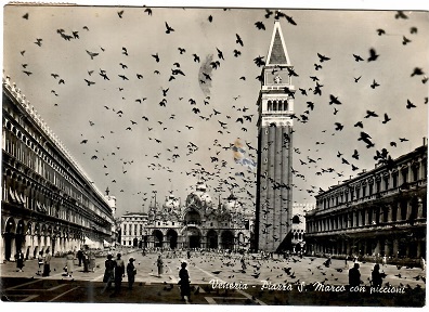 Venezia, S. Marcus Place and doves