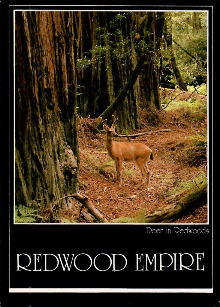Redwood Empire (California)