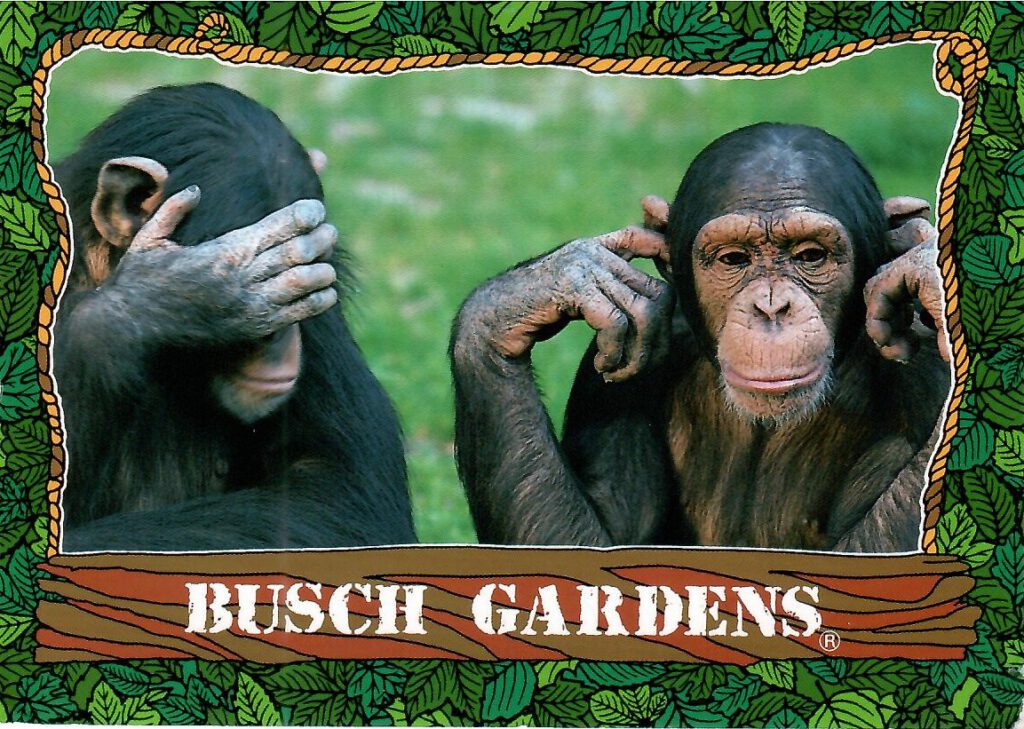 Tampa, Busch Gardens (Florida, USA)