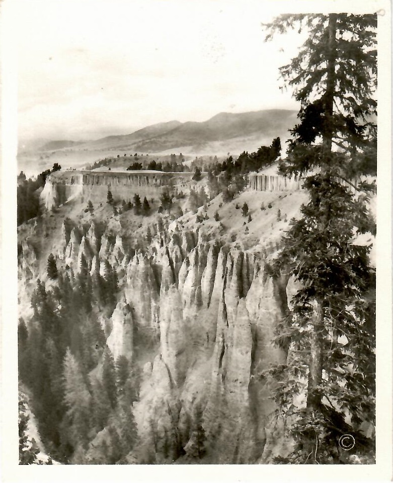 Yellowstone National Park, Needles near Tower Fall (Wyoming, USA)