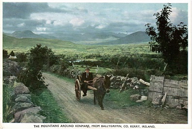 Mountains around Kenmare, from Ballygriffin, Co. Kerry (Rep. of Ireland)