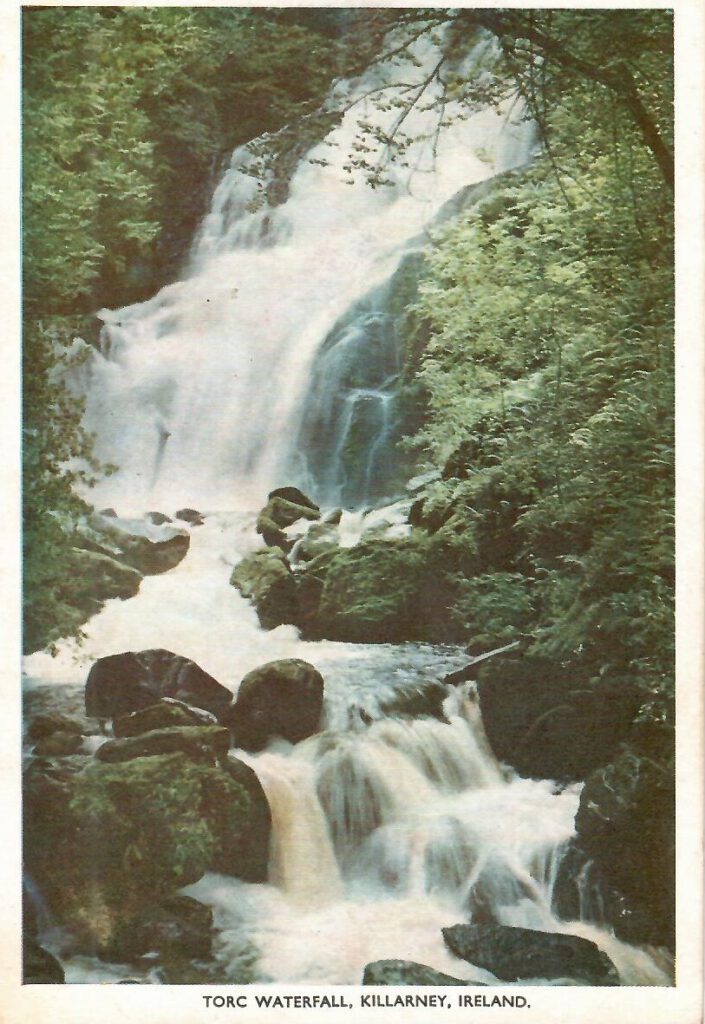 Killarney, Torc Waterfall (Rep. of Ireland)