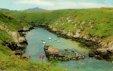 Near St. Davids, Porthclais Harbour