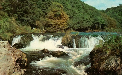 Cenarth, Salmon Leap Falls