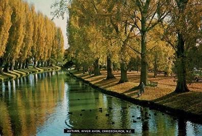 Christchurch, River Avon, Autumn