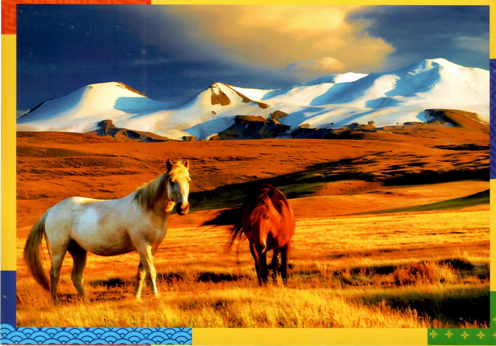 Horses and Mountains – Global Postcard Sales