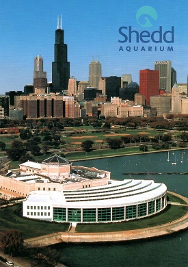 Chicago, Shedd Aquarium (Illinois, USA)