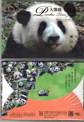 Pandas Time Journey  (Set of 16)