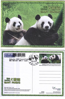 Welcome Giant Pandas (Set of 3)