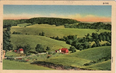 Pastoral USA farm scene