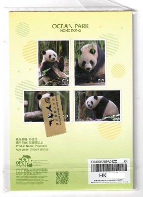 Ocean Park, Baby Pandas 240022 (Set of 4) (Hong Kong)