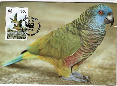Wildlife Fauna  (Set of 4 maximum cards)