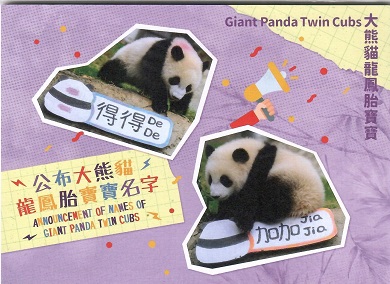 Panda Cub Names (Set of 9)