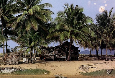 East Coast, a Fisherman’s Hut