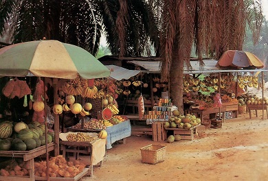 Malaysian Fruits Stalls