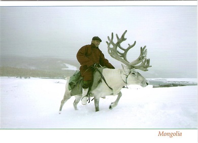 Reindeer Herder