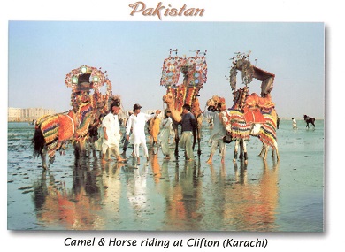 Karachi, Camel & Horse riding at Clifton