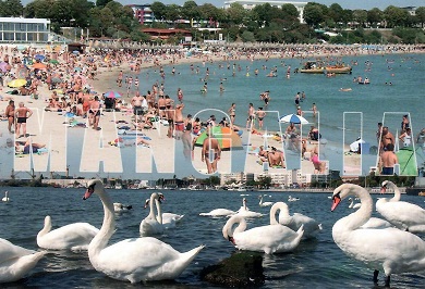 Mangalia, Beach