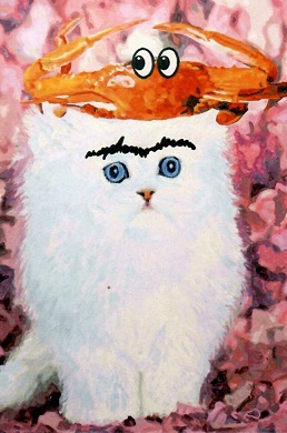 Cat and friend (Romania)